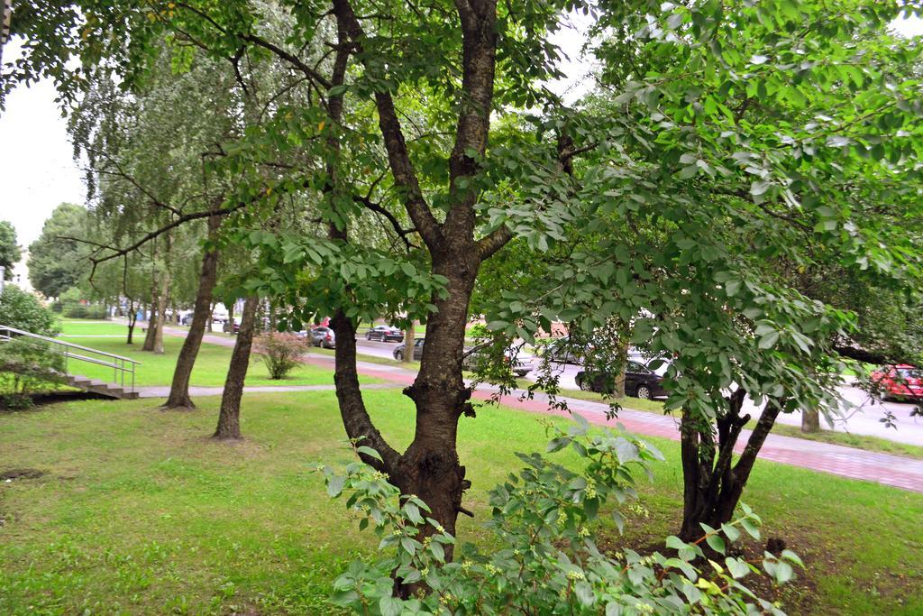 Siauliai City Apartment エクステリア 写真